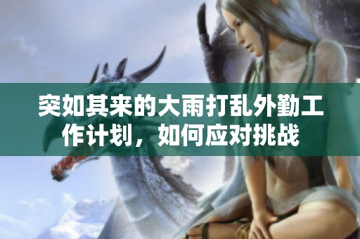 突如其来的大雨打乱外勤工作计划，如何应对挑战