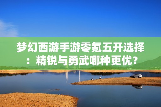 梦幻西游手游零氪五开选择：精锐与勇武哪种更优？