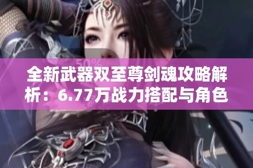 全新武器双至尊剑魂攻略解析：6.77万战力搭配与角色推荐