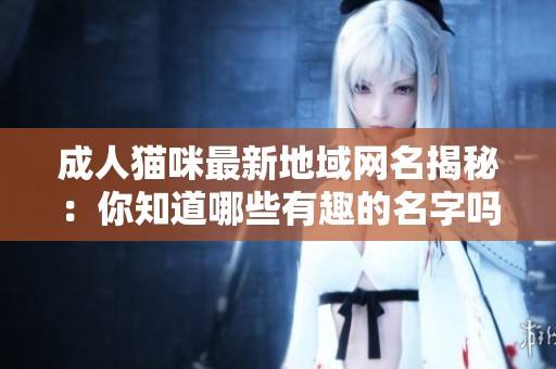 成人猫咪最新地域网名揭秘：你知道哪些有趣的名字吗