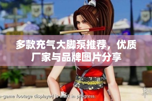 多款充气大脚泵推荐，优质厂家与品牌图片分享