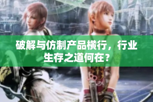 破解与仿制产品横行，行业生存之道何在？