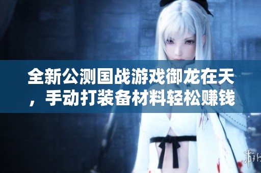 全新公测国战游戏御龙在天，手动打装备材料轻松赚钱