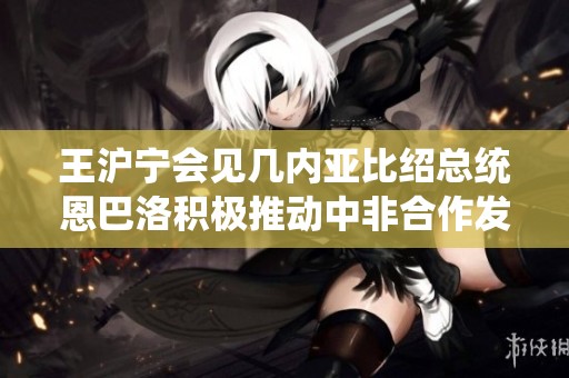 王沪宁会见几内亚比绍总统恩巴洛积极推动中非合作发展