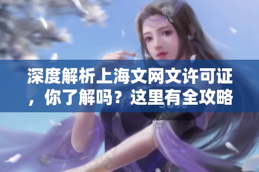 深度解析上海文网文许可证，你了解吗？这里有全攻略！