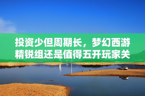 投资少但周期长，梦幻西游精锐组还是值得五开玩家关注吗