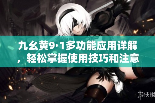 九幺黄9·1多功能应用详解，轻松掌握使用技巧和注意事项