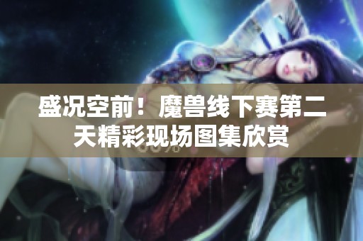 盛况空前！魔兽线下赛第二天精彩现场图集欣赏