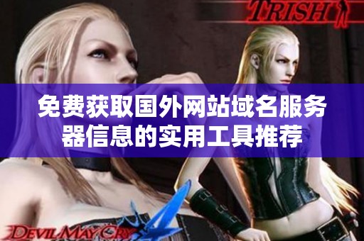 免费获取国外网站域名服务器信息的实用工具推荐