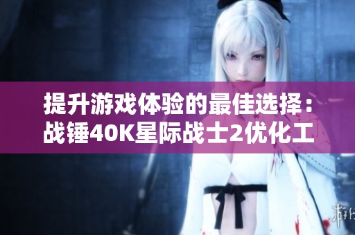提升游戏体验的最佳选择：战锤40K星际战士2优化工具推荐