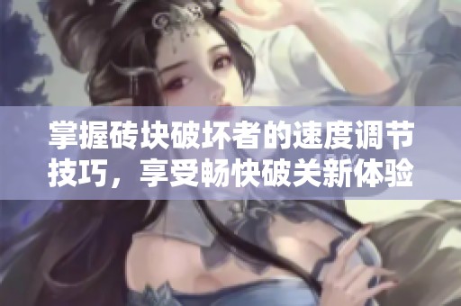 掌握砖块破坏者的速度调节技巧，享受畅快破关新体验！