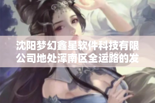沈阳梦幻鑫星软件科技有限公司地处浑南区全运路的发展概况
