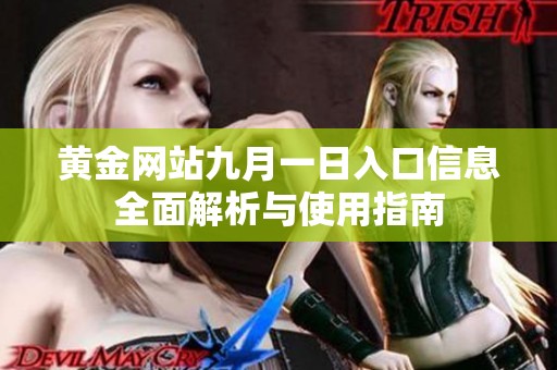 黄金网站九月一日入口信息全面解析与使用指南