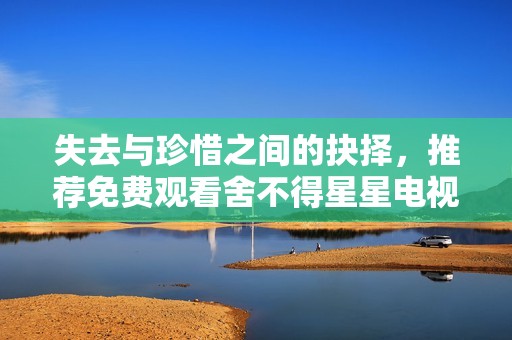 失去与珍惜之间的抉择，推荐免费观看舍不得星星电视剧