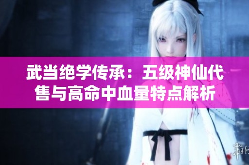 武当绝学传承：五级神仙代售与高命中血量特点解析