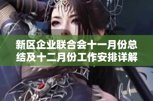 新区企业联合会十一月份总结及十二月份工作安排详解