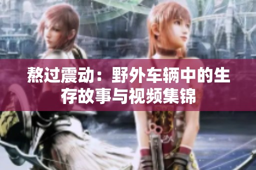 熬过震动：野外车辆中的生存故事与视频集锦