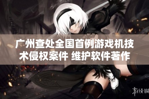 广州查处全国首例游戏机技术侵权案件 维护软件著作权利