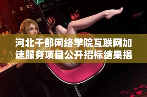 河北干部网络学院互联网加速服务项目公开招标结果揭晓