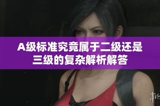 A级标准究竟属于二级还是三级的复杂解析解答