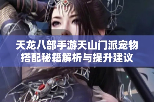 天龙八部手游天山门派宠物搭配秘籍解析与提升建议