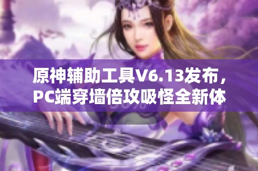 原神辅助工具V6.13发布，PC端穿墙倍攻吸怪全新体验