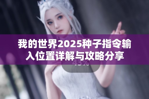 我的世界2025种子指令输入位置详解与攻略分享