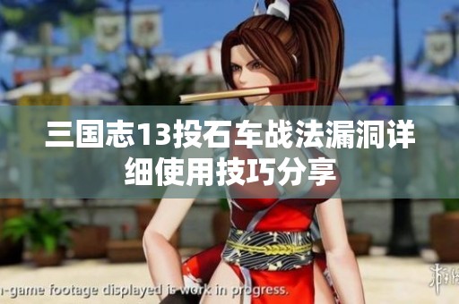 三国志13投石车战法漏洞详细使用技巧分享