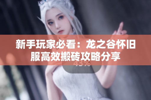 新手玩家必看：龙之谷怀旧服高效搬砖攻略分享