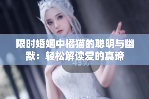 限时婚姻中橘猫的聪明与幽默：轻松解读爱的真谛