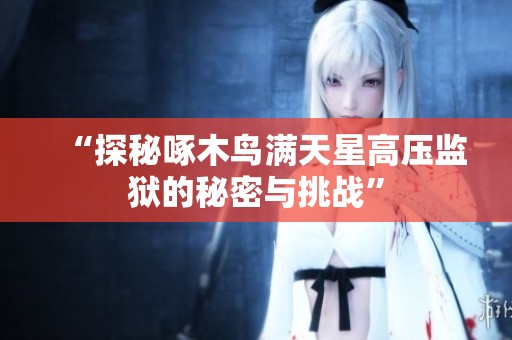 “探秘啄木鸟满天星高压监狱的秘密与挑战”