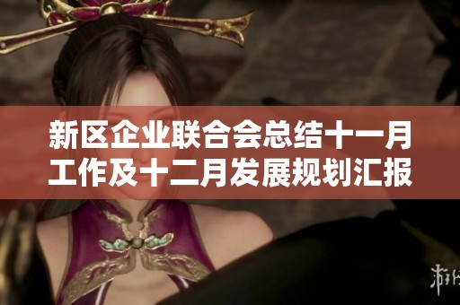 新区企业联合会总结十一月工作及十二月发展规划汇报
