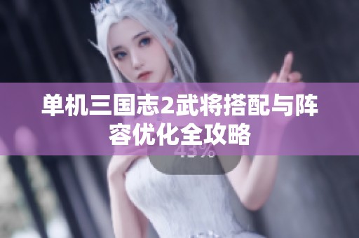 单机三国志2武将搭配与阵容优化全攻略