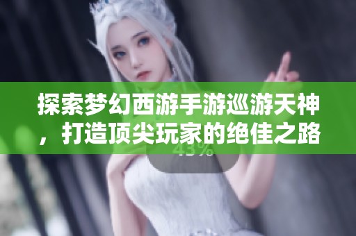 探索梦幻西游手游巡游天神，打造顶尖玩家的绝佳之路
