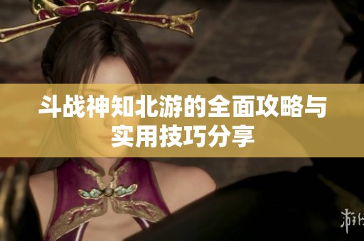 斗战神知北游的全面攻略与实用技巧分享