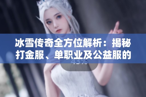 冰雪传奇全方位解析：揭秘打金服、单职业及公益服的特点与魅力