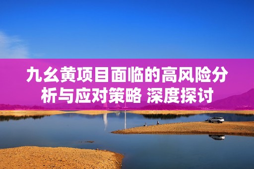 九幺黄项目面临的高风险分析与应对策略 深度探讨