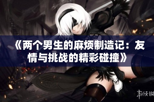 《两个男生的麻烦制造记：友情与挑战的精彩碰撞》