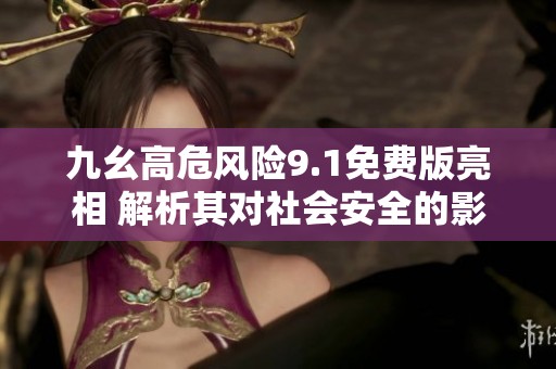 九幺高危风险9.1免费版亮相 解析其对社会安全的影响与应对措施