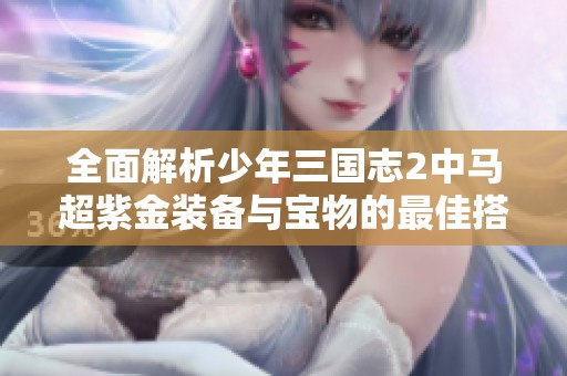 全面解析少年三国志2中马超紫金装备与宝物的最佳搭配策略与实战表现