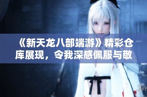 《新天龙八部端游》精彩仓库展现，令我深感佩服与敬仰，分享游戏中的丰厚收获！