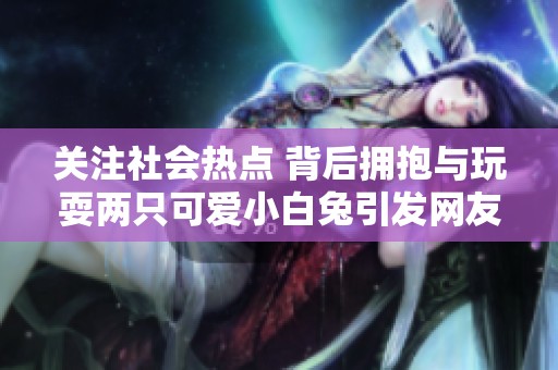 关注社会热点 背后拥抱与玩耍两只可爱小白兔引发网友热议
