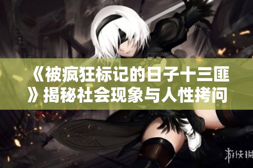 《被疯狂标记的日子十三匪》揭秘社会现象与人性拷问的精彩故事