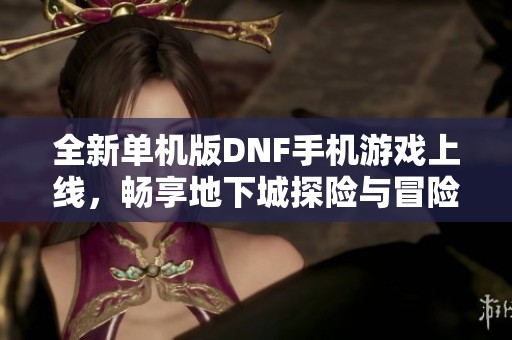 全新单机版DNF手机游戏上线，畅享地下城探险与冒险之旅的无限乐趣！