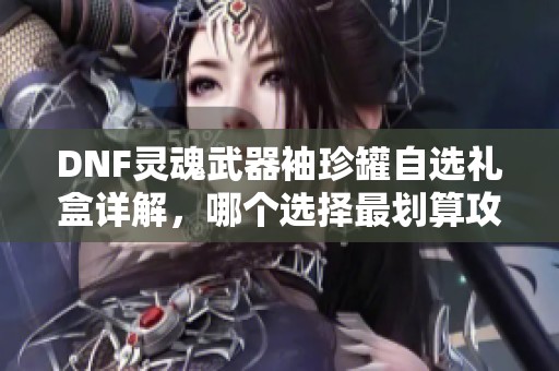 DNF灵魂武器袖珍罐自选礼盒详解，哪个选择最划算攻略一览