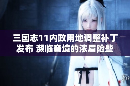 三国志11内政用地调整补丁发布 濒临窘境的浓眉险些错失胜利机会