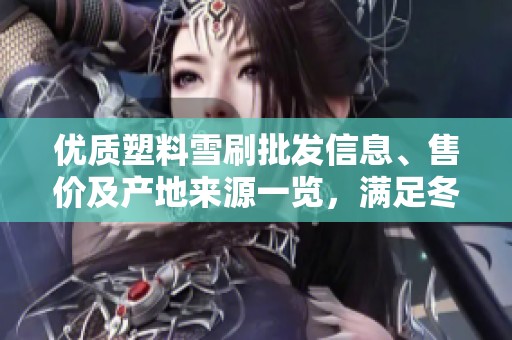 优质塑料雪刷批发信息、售价及产地来源一览，满足冬季除雪需求