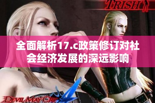 全面解析17.c政策修订对社会经济发展的深远影响