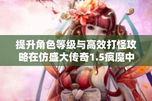 提升角色等级与高效打怪攻略在仿盛大传奇1.5疯魔中的实用技巧分享