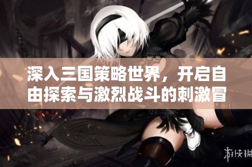 深入三国策略世界，开启自由探索与激烈战斗的刺激冒险之旅 - 万两手游网
